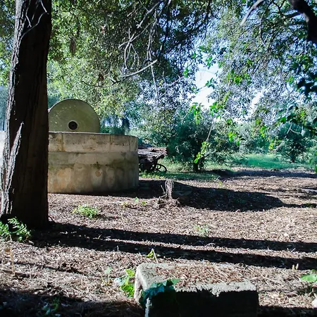 Capani